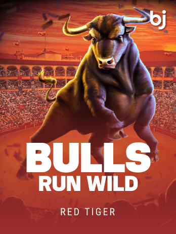 Bulls Run Wildpng